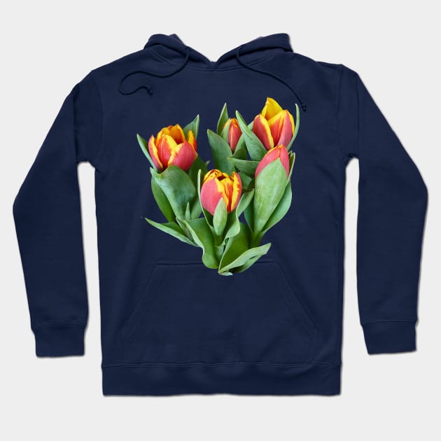 Tulips Just Opening Hoodie by SusanSavad